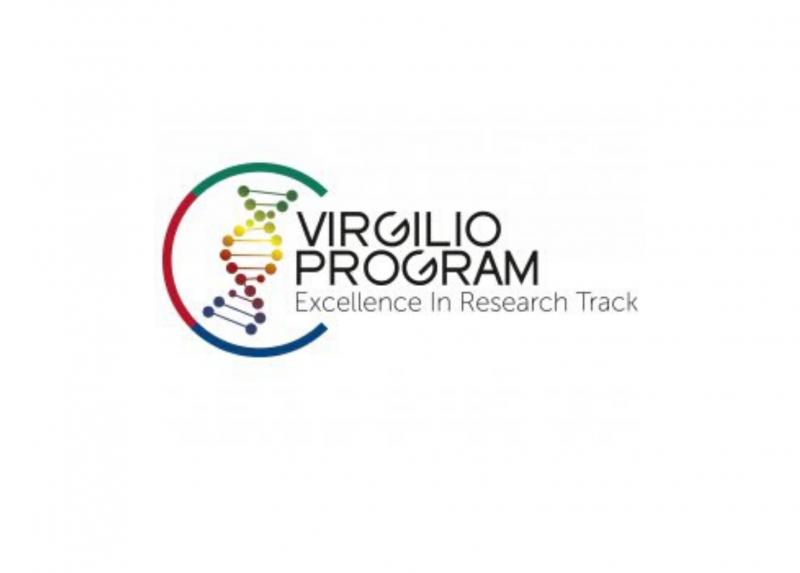 Il logo del Programma Virgilio