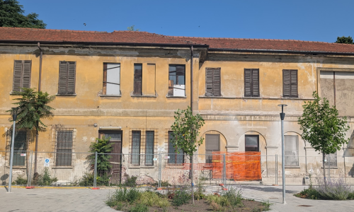 immagine decorativa