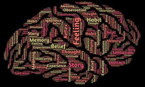 Cervello con Word Cloud