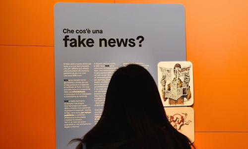 Uno dei pannelli all'ingresso della mostra