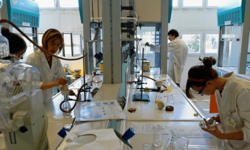Ricercatori al lavoro nei laboratori della Statale