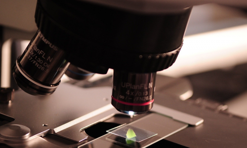 Microscopio