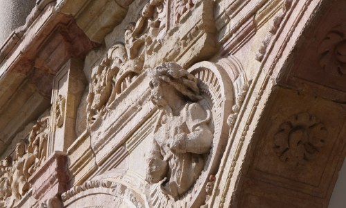 immagine decorativa