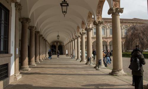 immagine decorativa