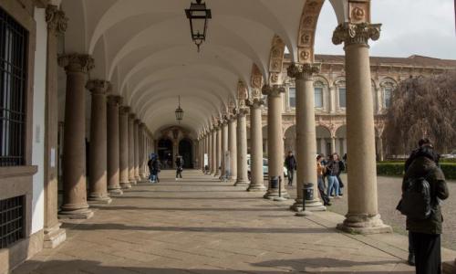 immagine decorativa