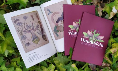 Il catalogo della mostra Wandtafeln