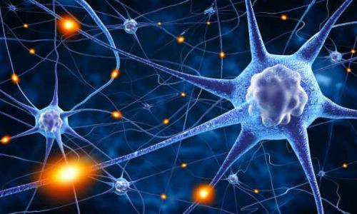 Neuroni