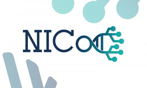 Logo della Rete Italiana delle Core Facilities (NICo)
