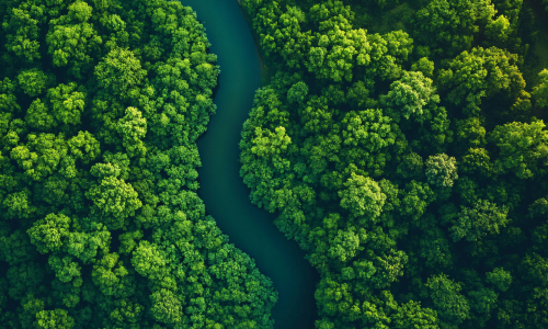 Immagine di repertorio. Credits Shutterstock