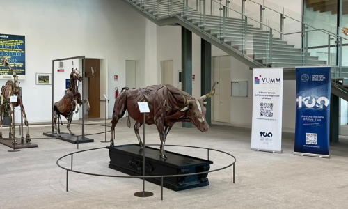 La sede dell'Università degli Studi di Milano a Lodi
