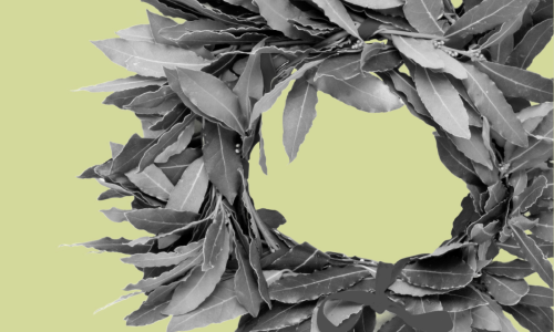 immagine decorativa