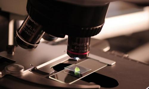 Microscopio
