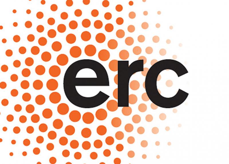 ERC Consolidator Grant: presentazione e workshop pratico per partecipare al  bando 2019 | La Statale News