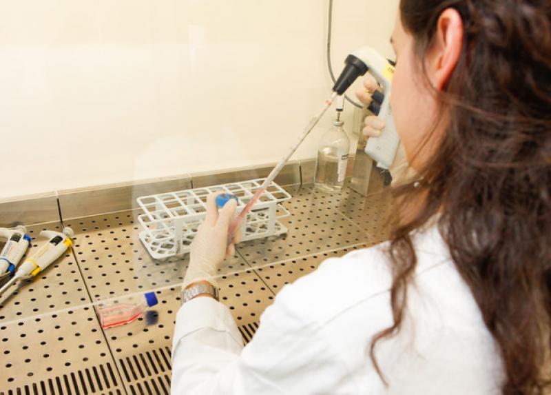 Attività di ricerca in laboratorio