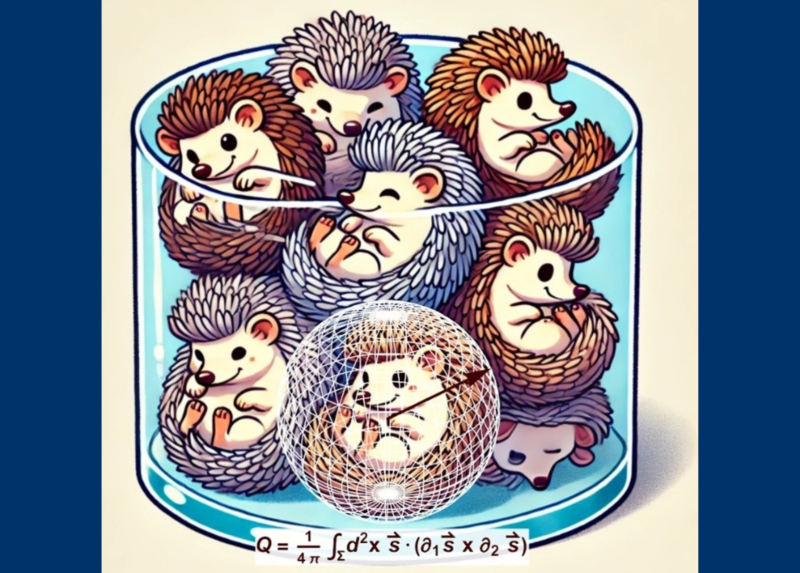 Una rappresentazione pittorica dei difetti topologici di tipo "Hedgehog", definiti tramite la carica topologica invariante Q, in un vetro tridimensionale.