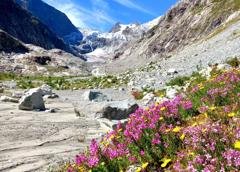 Cambiamento climatico: il ritiro dei ghiacciai indebolisce l’ecosistema