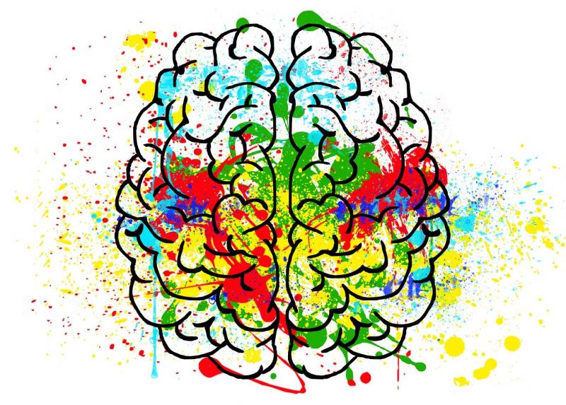 Cervello a colori