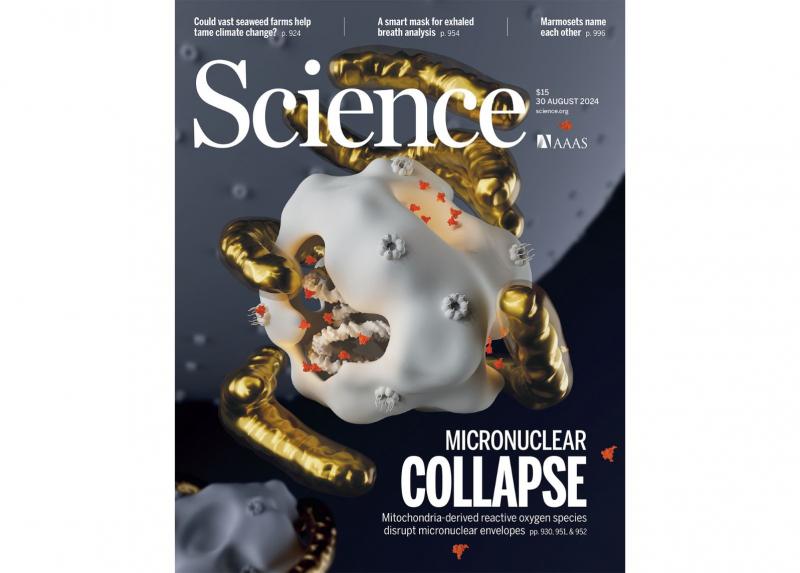 Copertina di Science - Svelato come il tumore sostiene i suoi processi vitali