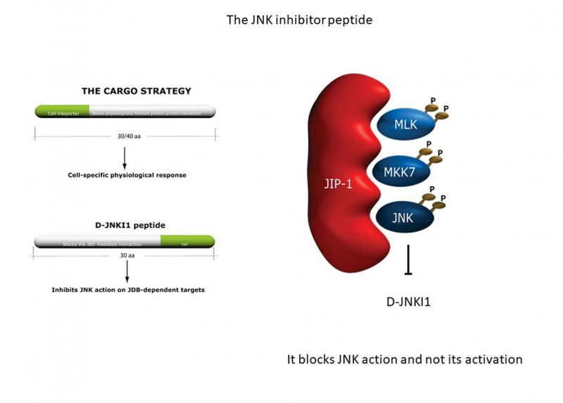 DJNKI1