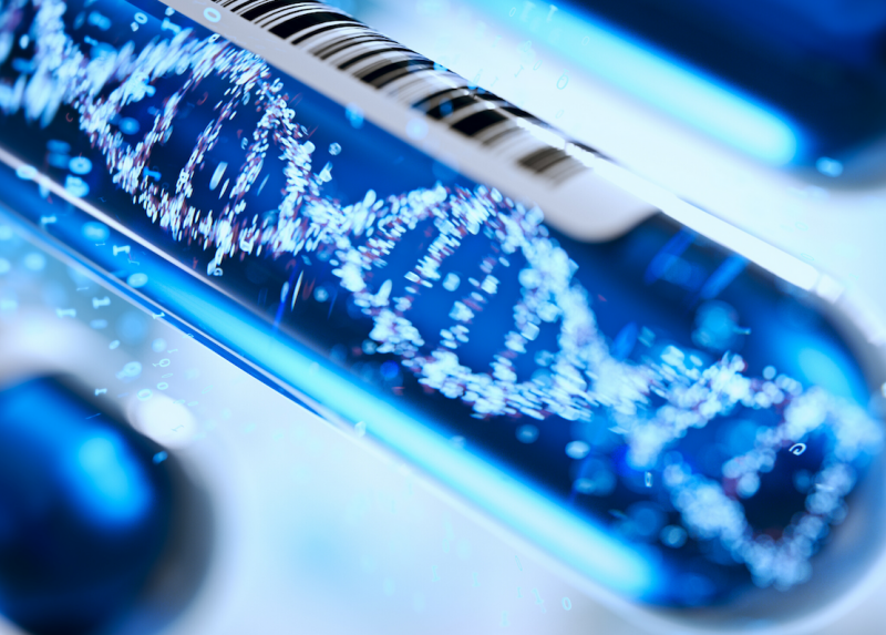 DNA