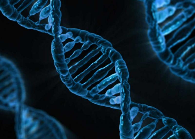 Eliche di DNA 