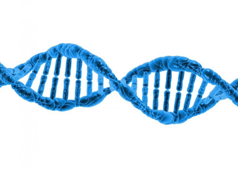 DNA