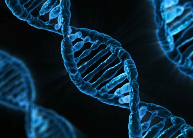 Doppia elica di DNA