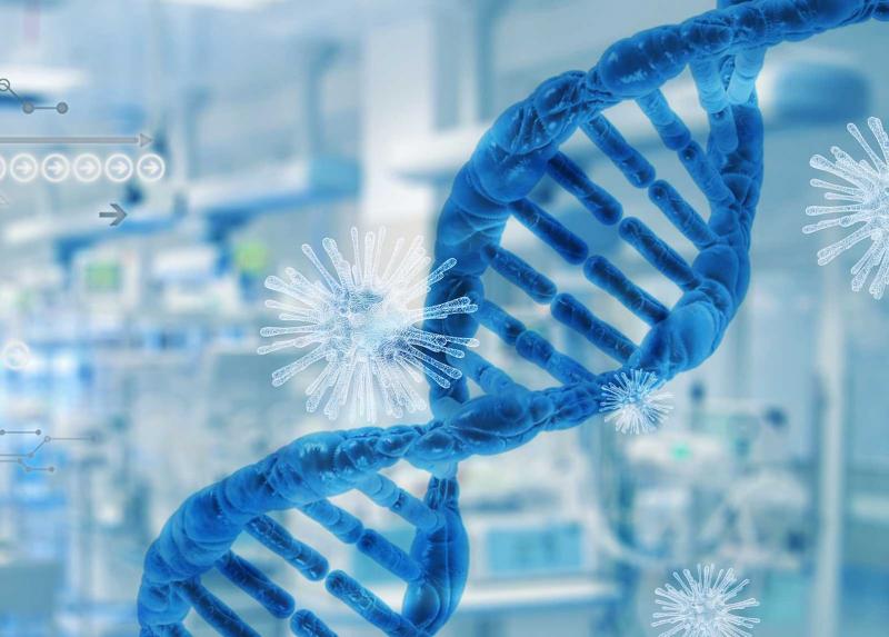 DNA