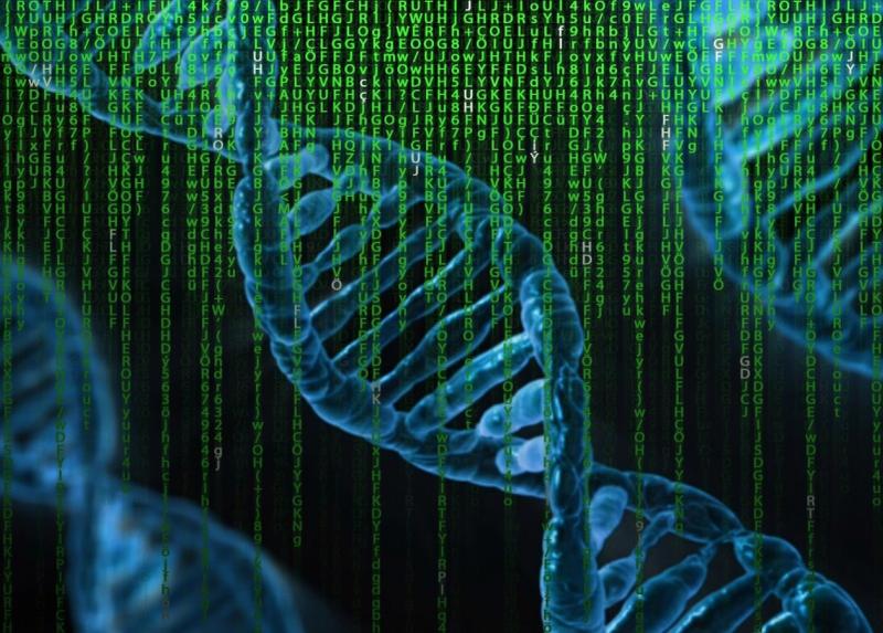 DNA_Genoma
