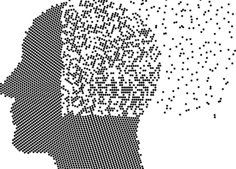 Cervello frammentato
