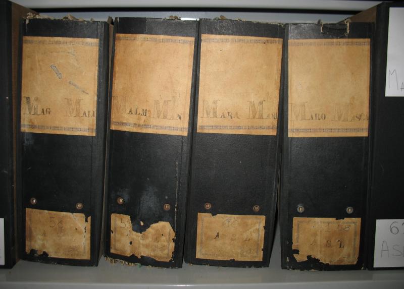 Alcuni faldoni dei documenti digitalizzati per l'Archivio online