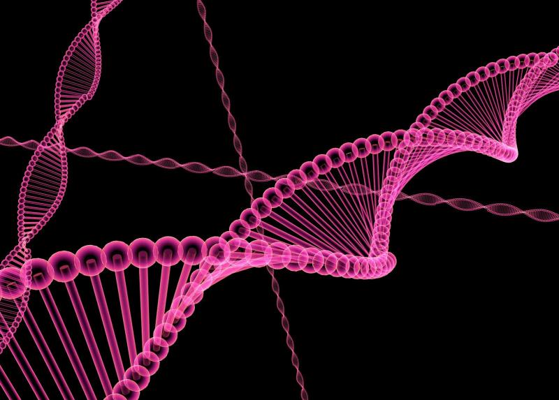 La doppia elica del DNA