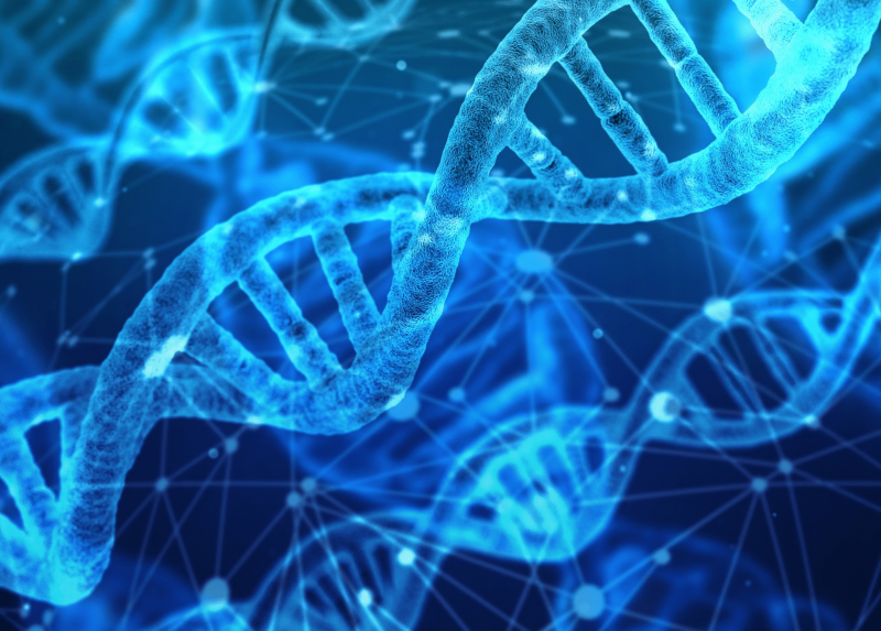 Dna: immagine tratta da Pixabay