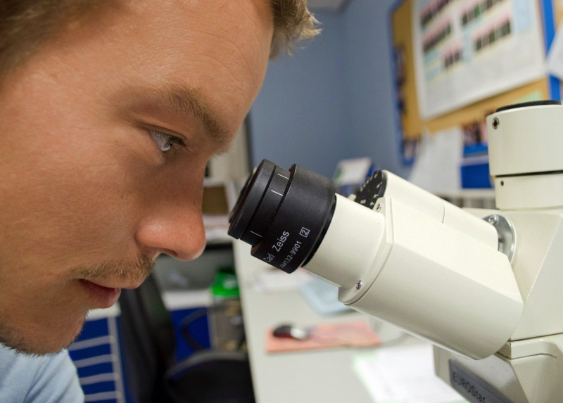 Analisi al microscopio 