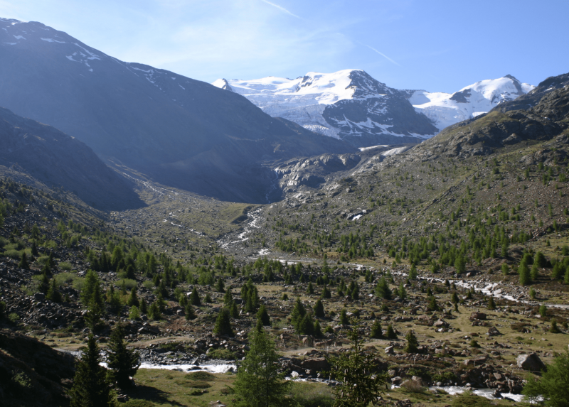 La piana proglaciale del Ghiacciaio dei Forni - Foto Mauro Gobbi