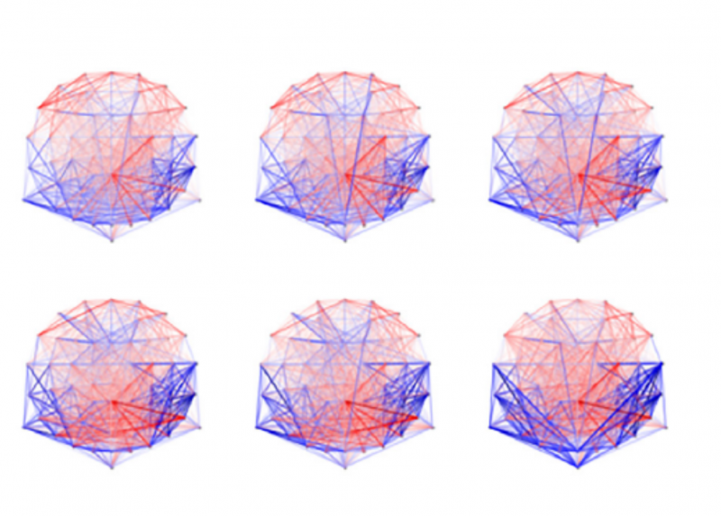 Un'immagine dallo studio pubblicato su Frontiers in Network Physiology