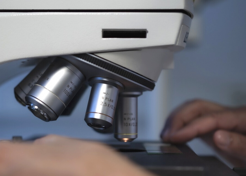 Analisi al microscopio