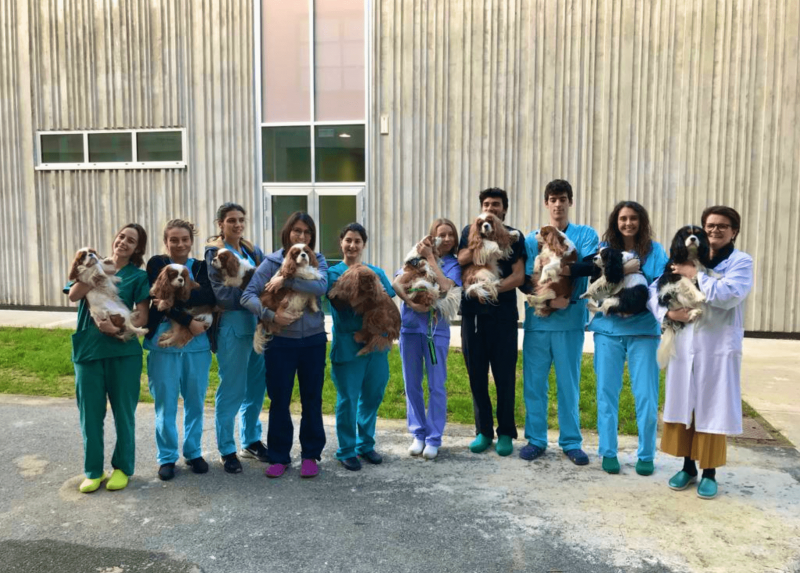 Il team di ricercatori del polo di Lodi dell’Università degli Studi di Milano che sta conducendo lo studio sulle patologie cardiache dei cani