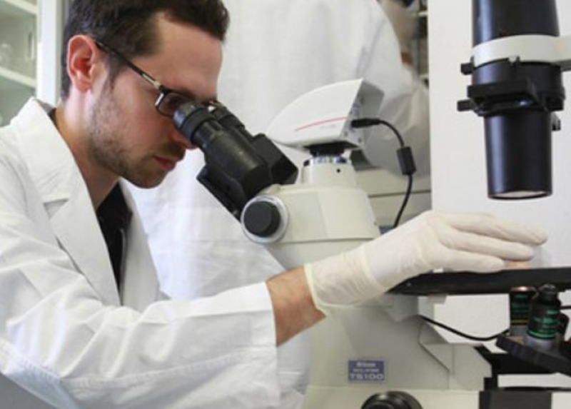 Attività di laboratorio