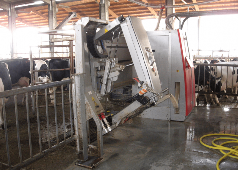 Robot di mungitura applicati all’azienda agricola didattica di Landriano (PV)