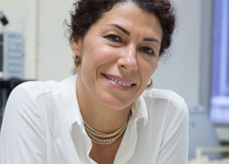 La professoressa Flora Peyvandi, Docente di Medicina interna in Statale e direttrice dell’Unità di medicina interna Emostasi e Trombosi - Centro Emofilia e Trombosi “Angelo Bianchi Bonomi” del Policlinico di Milano