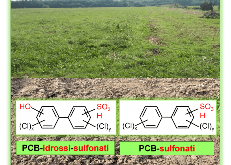 PCB sulfonati e idrossosulfonati nel suolo agricolo del sito Brescia-Caffaro