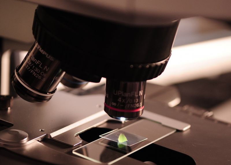Microscopio