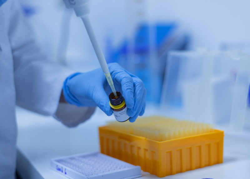 Research activity