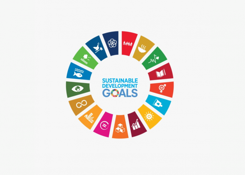 Gli obiettivi dell'Agenda 2030