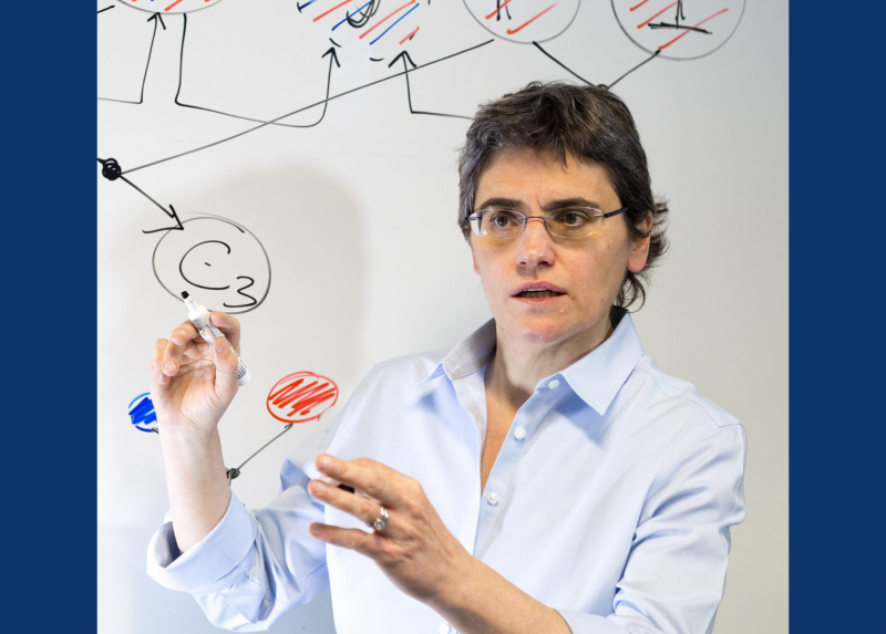 Pierangela Samarati, docente del dipartimento di Informatica "Giovanni Degli Antoni"