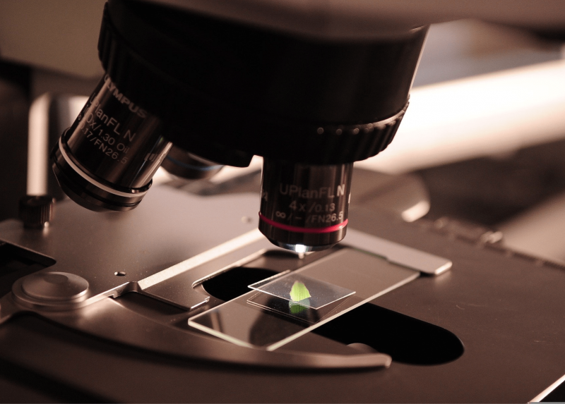Analisi al microscopio