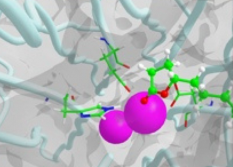 Il molecular modelling con "VEGA ZZ"