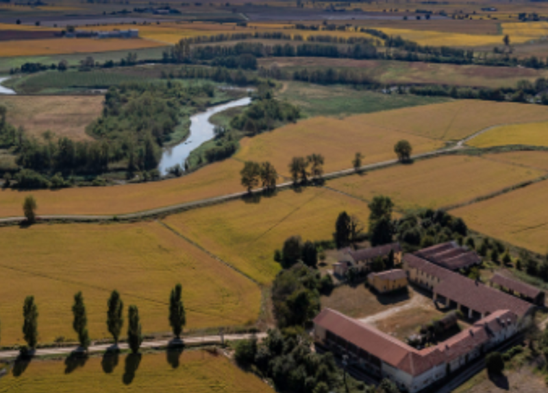 Una delle immagini  aeree di paesaggi agrari italiani scattate con un drone dal fotografo Paolo Nigris