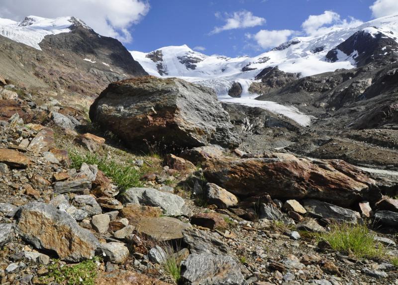 Il ghiacciaio dei Forni nel Parco nazionale dello Stelvio